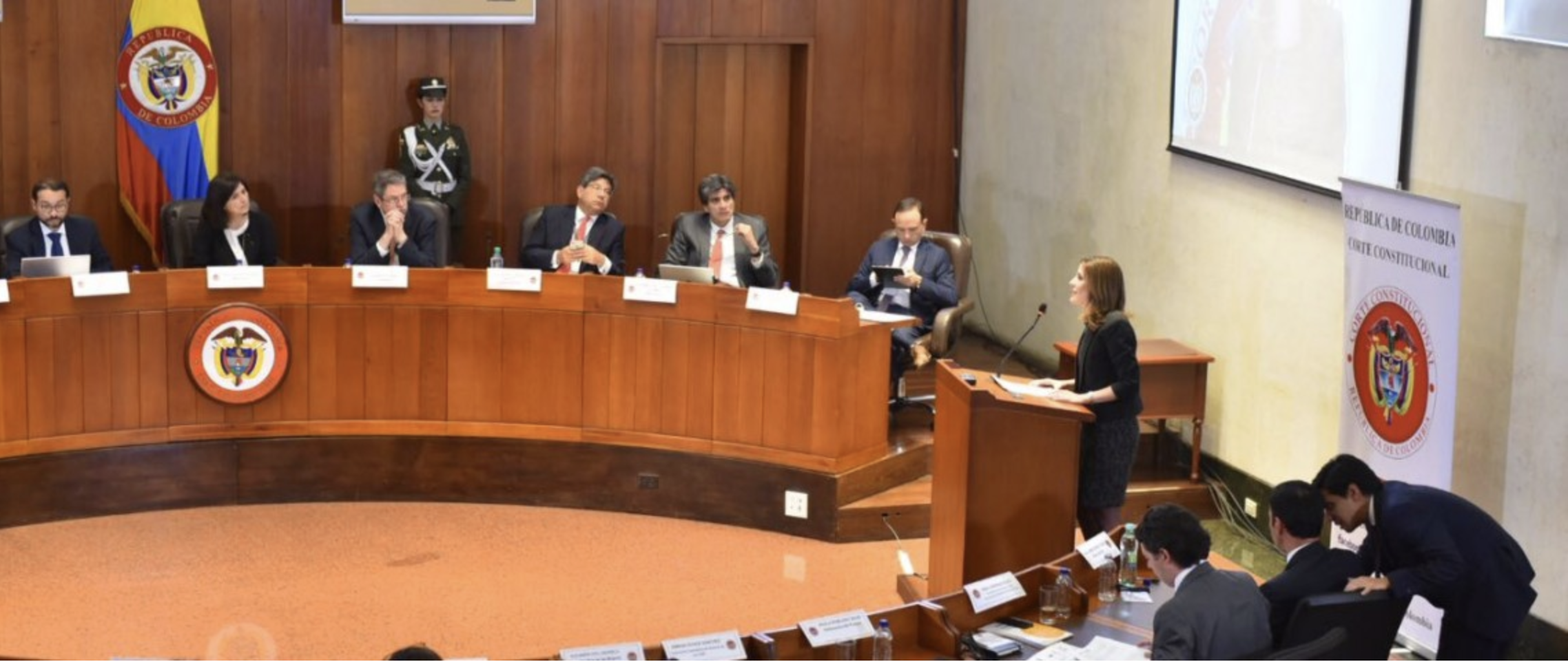 Defensoría del Pueblo participó en Audiencia Pública de la Corte Constitucional sobre Ley de Amnistía e Indulto