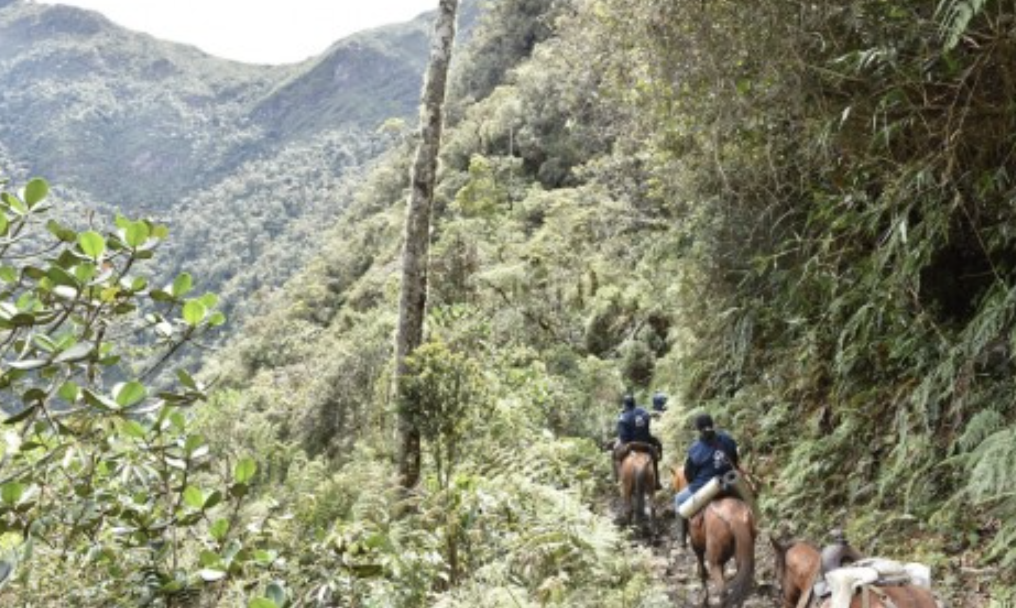 Vías de acceso y salud, los temas más apremiantes para las comunidades indígenas de Güicán, Boyacá