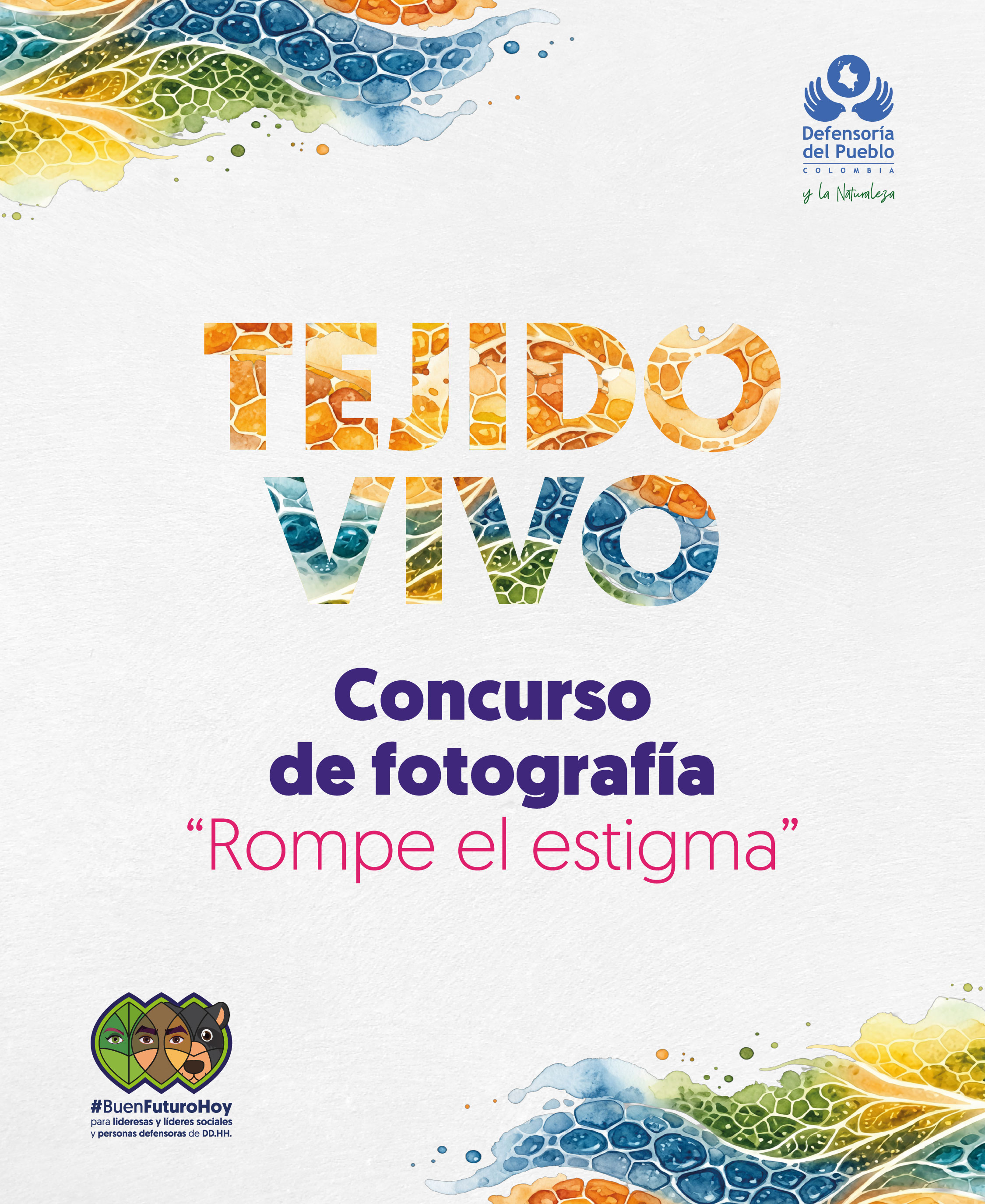 Concurso de fotografía: 