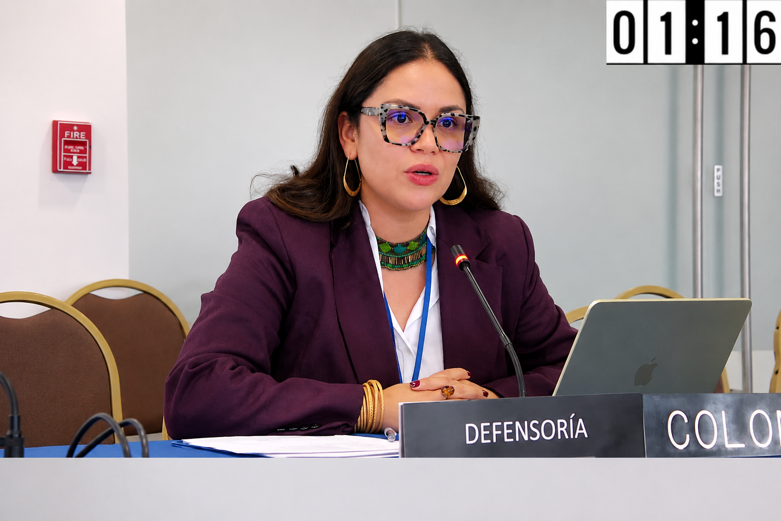 Comisión Interamericana de Derechos Humanos (CIDH).