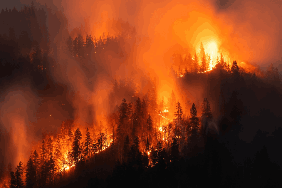 Incendio forestal en Nariño amenaza la Reserva Forestal del Pacífico.