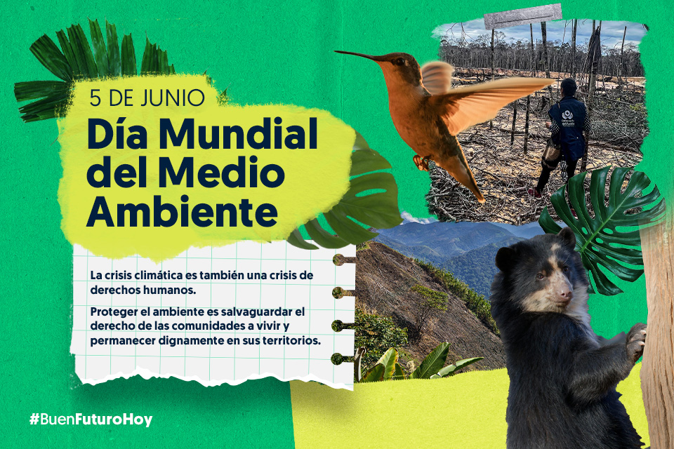 Día Mundial del Medio Ambiente.