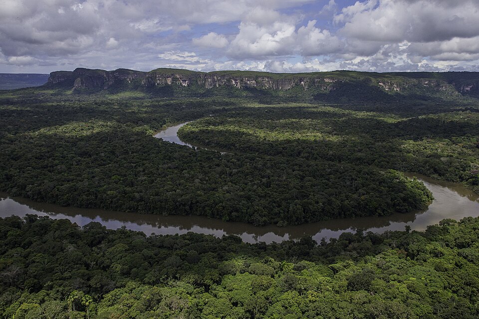 Parque Nacional Natural Serranía de Chiribiquete.  Tepuyes de Chiribiquete por Carlos Castaño Uribe / Disponible en Wikimedia Commons / Licencia CC BY-SA 3.0.