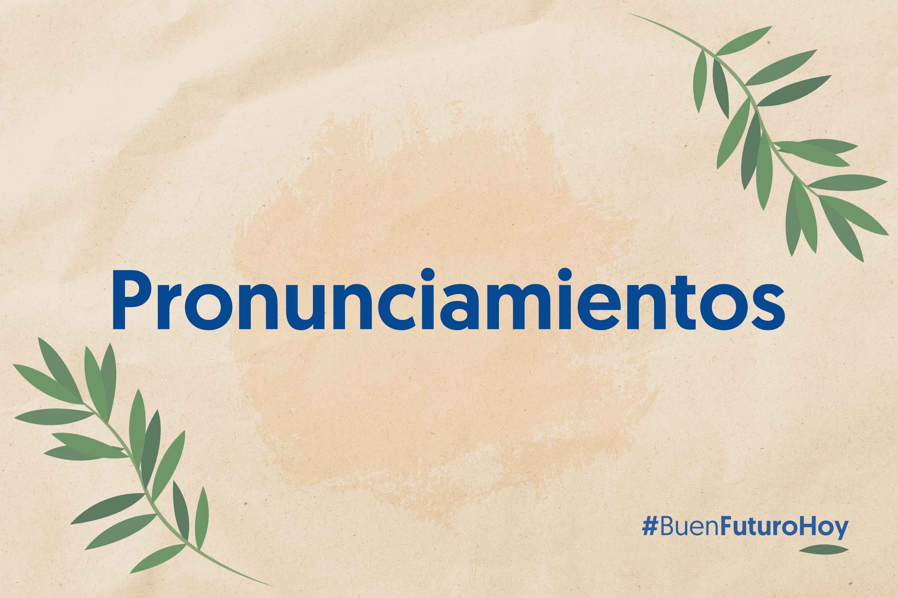 pronunciamientos