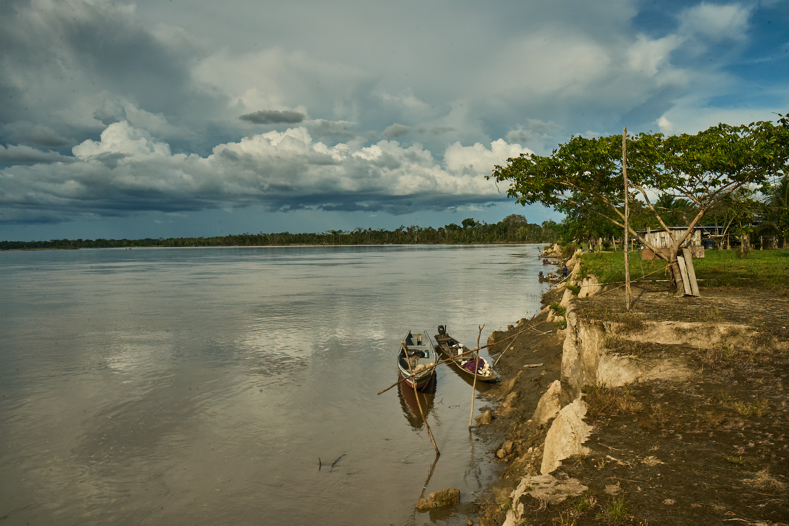 La Defensoría del Pueblo alertó sobre la grave escalada de la confrontación armada en Guaviare, Caquetá y Amazonas.