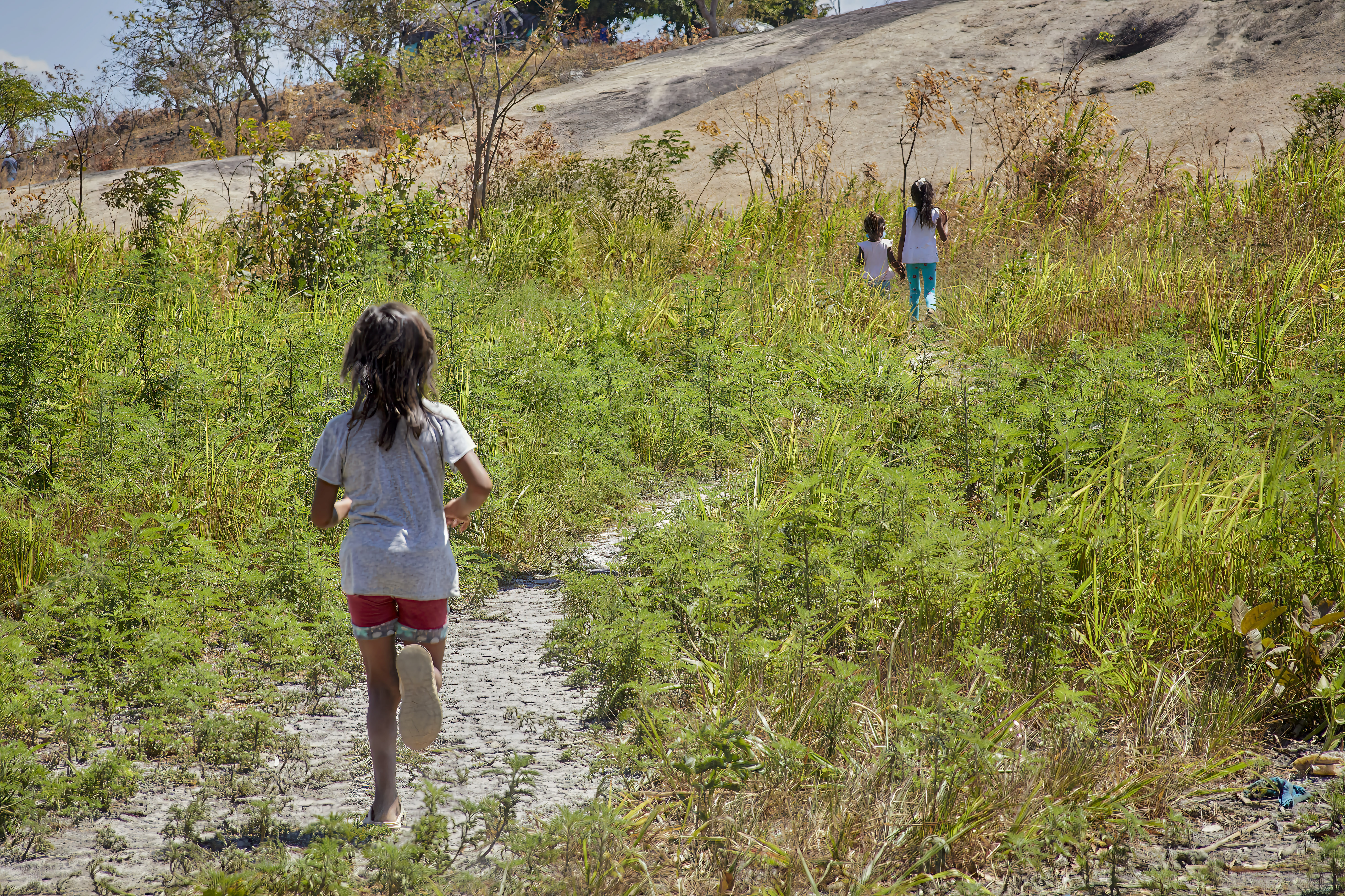 Niña de dos años fue víctima de violencias intrafamiliar y sexual.