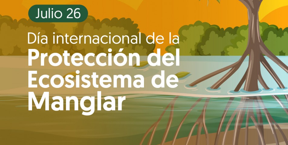 La Defensoría, comprometida en la protección y conservación de los manglares en Colombia