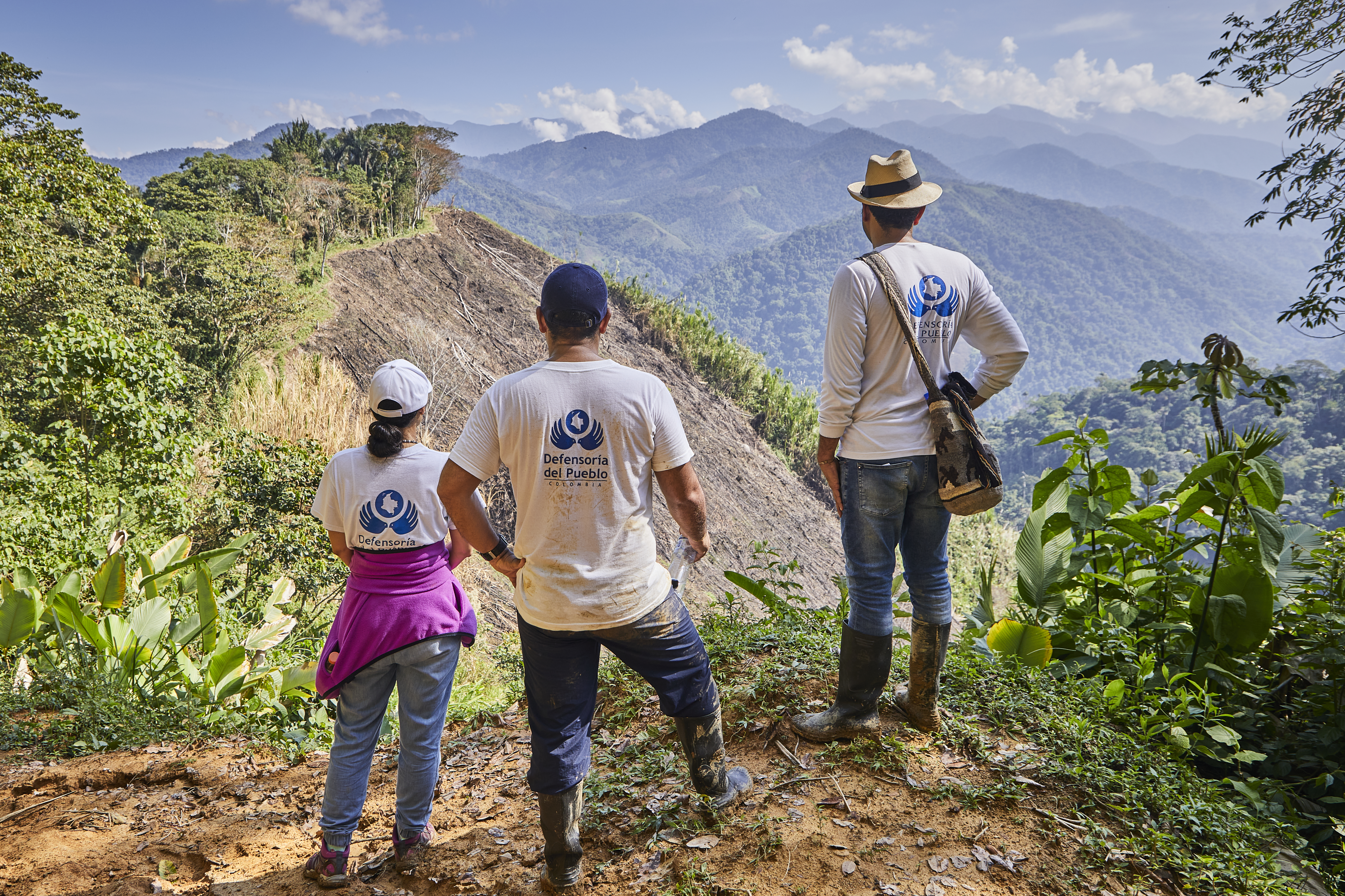 Paisaje forestal denso y verde