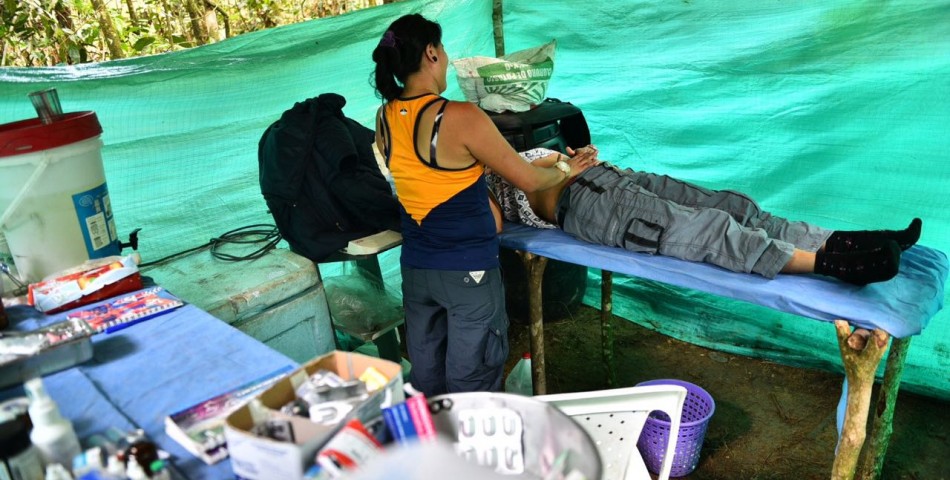 “Guerrilleras embarazadas necesitan atención en salud en la gestación de los hijos de la paz”: Defensor del Pueblo