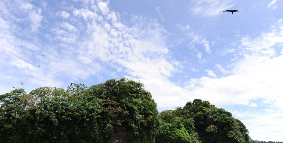 Biodiversidad: una prioridad vital para la vida en el planeta