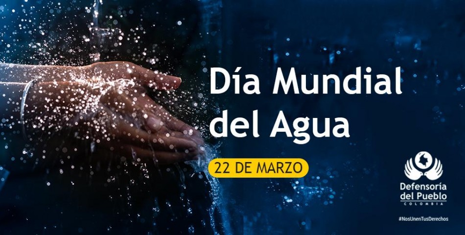 “Es fundamental eliminar las amenazas que hay sobre los bosques, páramos y selvas ”