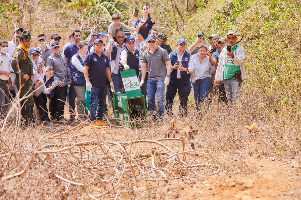 Defensoría del Pueblo trabaja en protección de fauna silvestre para impulsar garantía de derechos a un ambiente sano