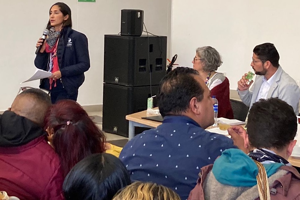 En una Audiencia Pública sobre seguridad y amenazas, la Defensoría del Pueblo escuchó a 25 líderes sociales y comunales quienes denunciaron la grave situación de la que son víctimas por amenazas, asesinatos en esa localidad del sur de Bogotá.&nbsp;