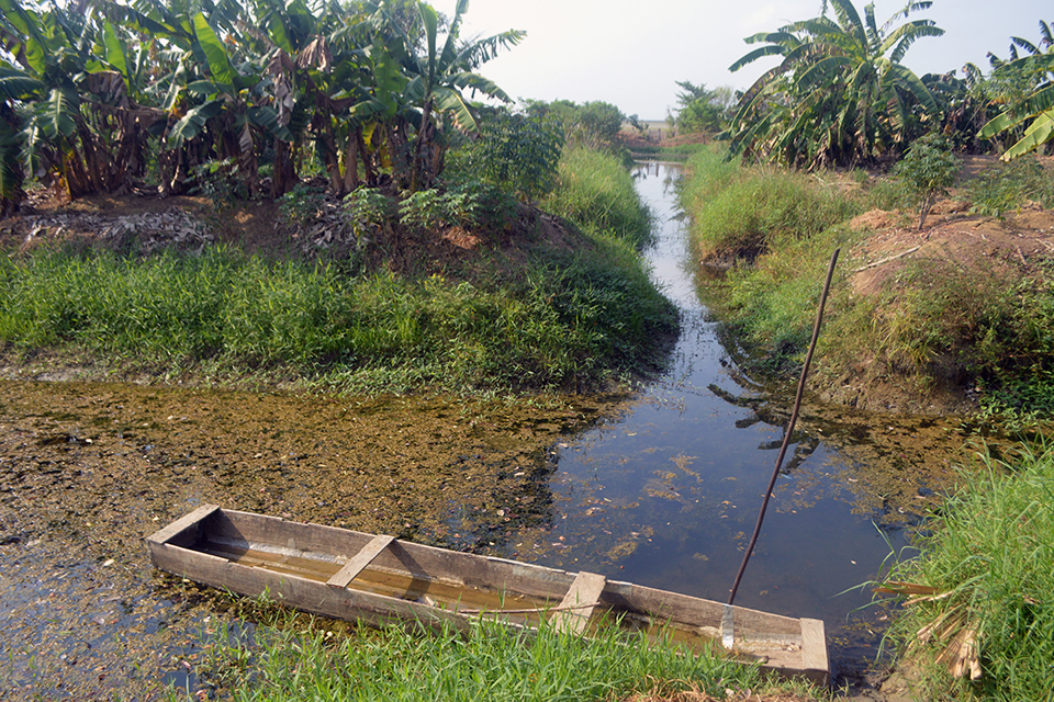 Defensoría del Pueblo acompaña proyecto ecosostenible de la Asociación Campesina Zenú en Purísima
