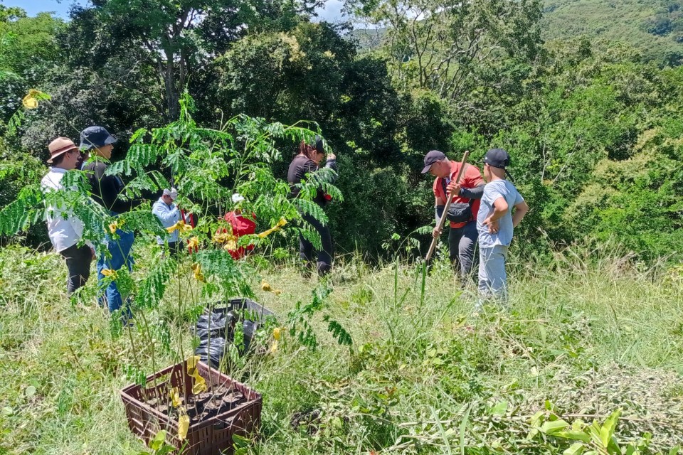 Defensoría del Pueblo promueve sostenibilidad con reforestación y educación ambiental en Neiva