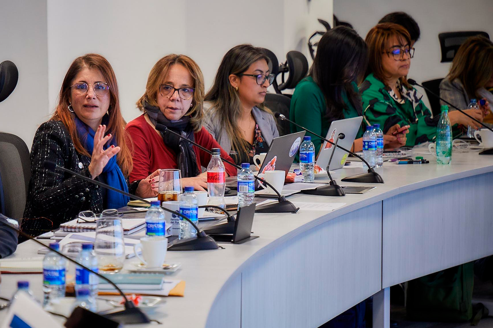 defensora del pueblo