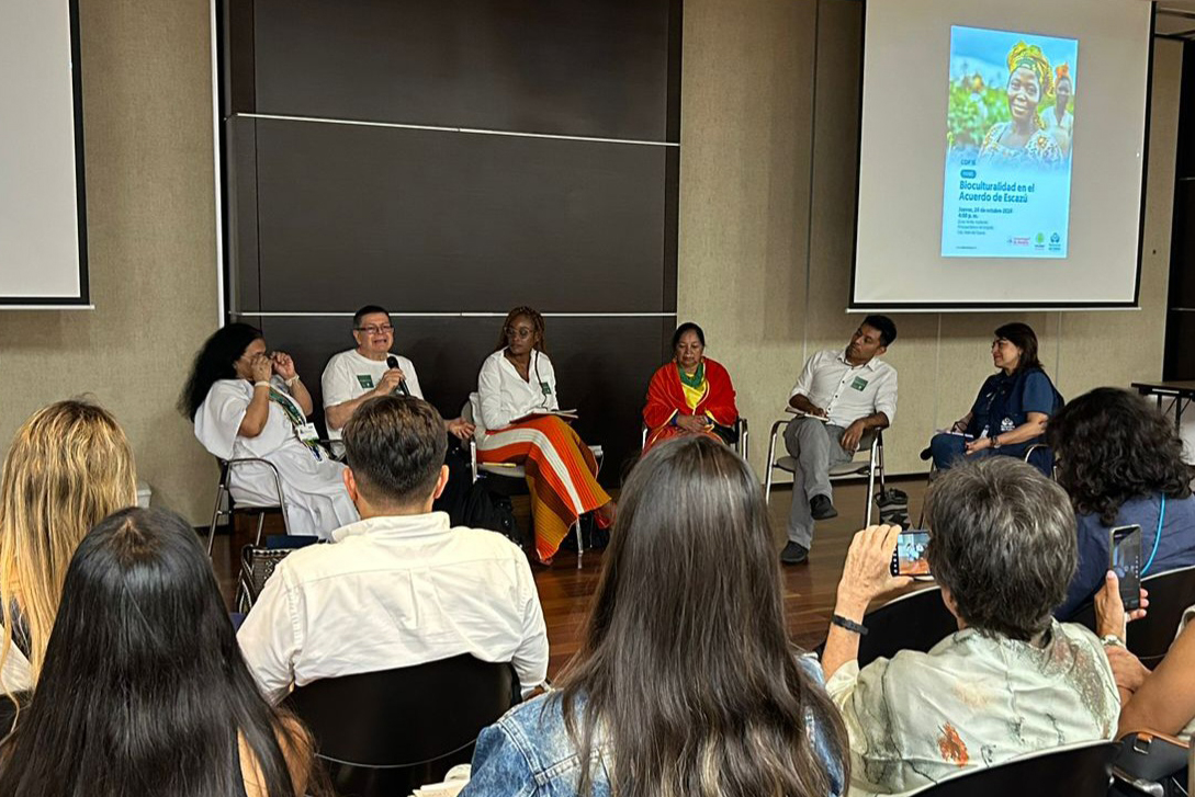 Defensoría lidera debate sobre Acuerdo de Escazú en la COP-16