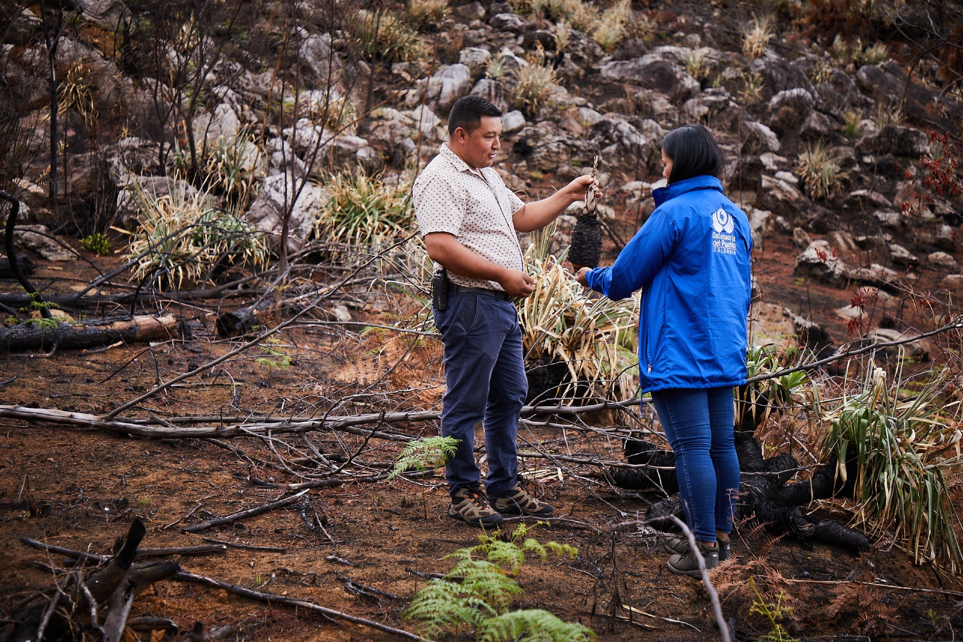 La historia que no quieren repetir en Villa de Leyva