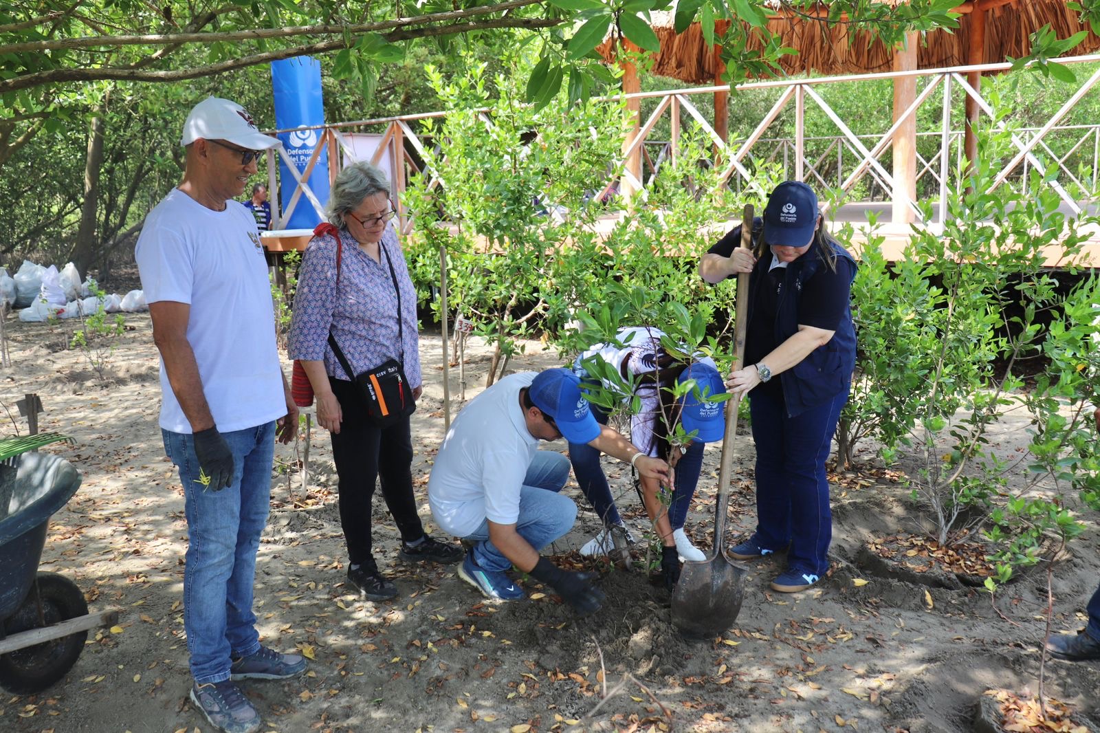 siembra puerto colombia