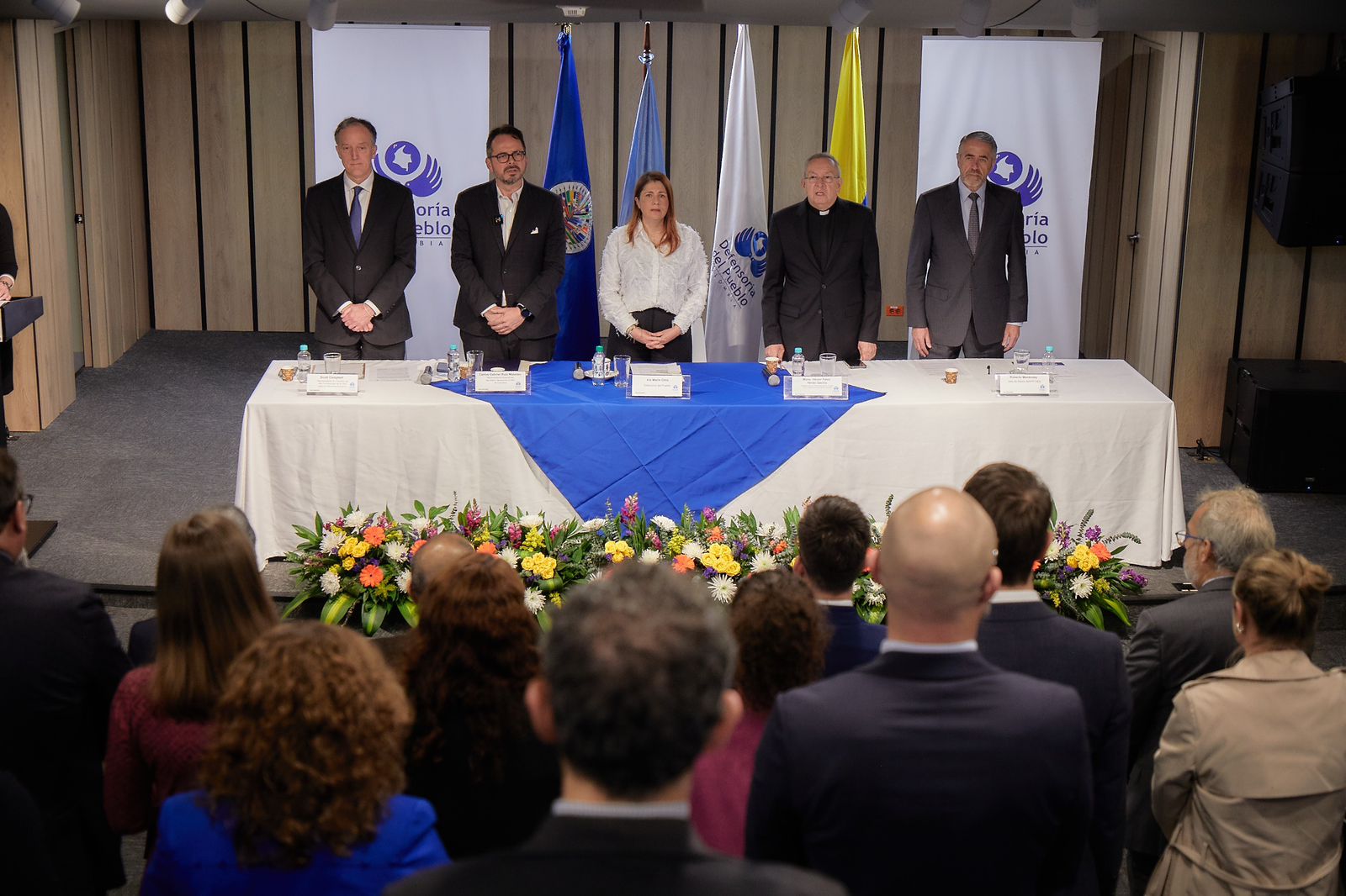 elecciones libres defensoría