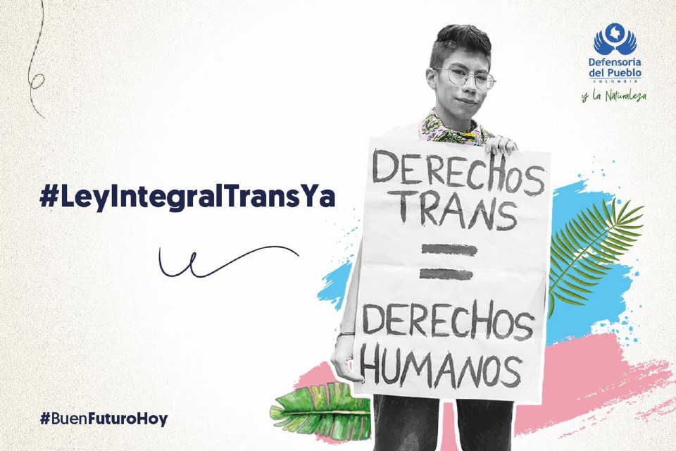 Ley Integral Trans