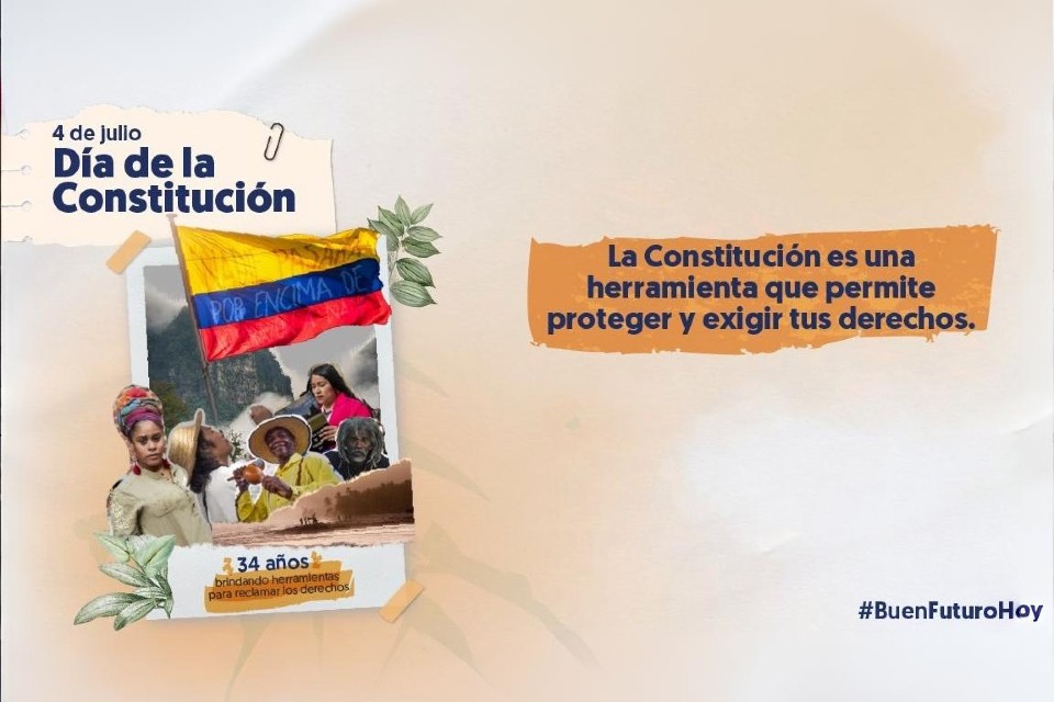 constitución