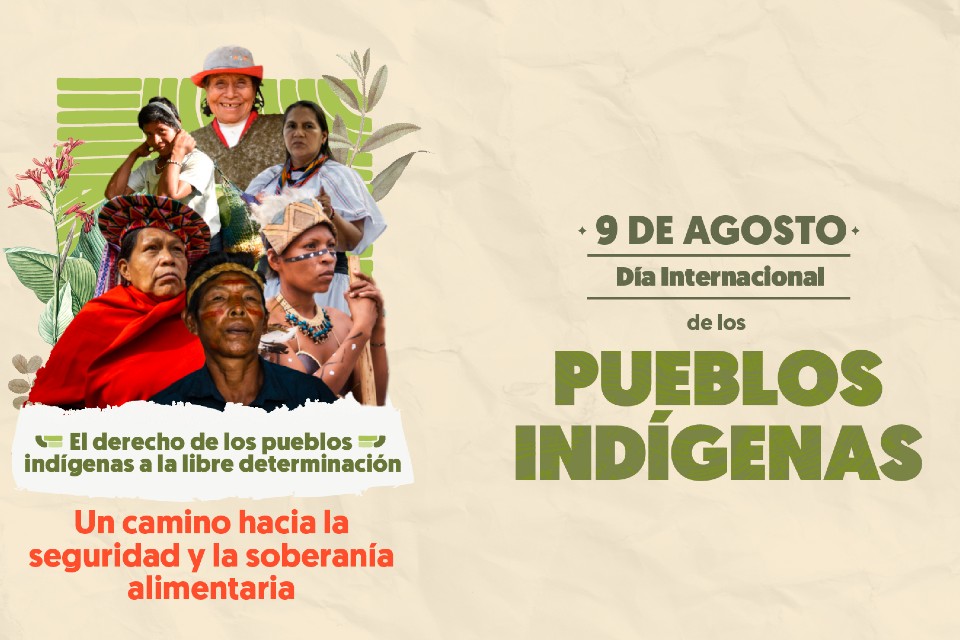 pueblos indígenas nota