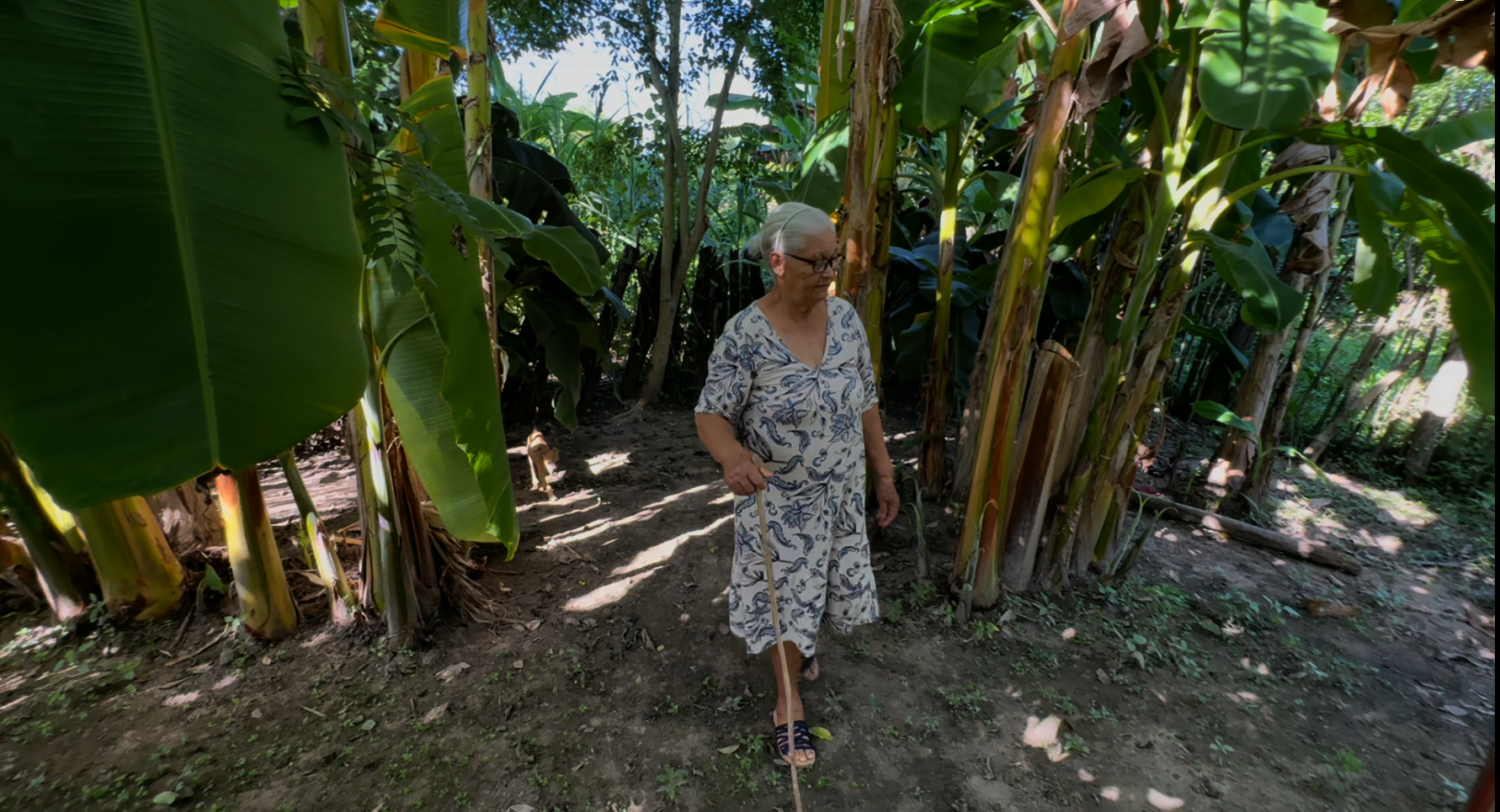 Cecilia no solo perdió a su madre en la masacre de Santa Isabel; la violencia despojó a toda la comunidad de su arraigo.