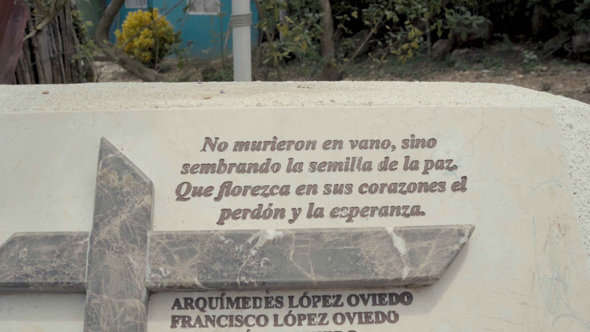 Imagen 6