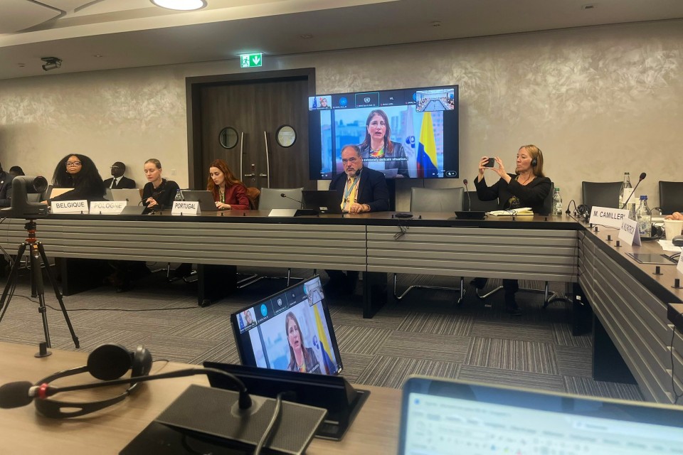 defensora en ginebra