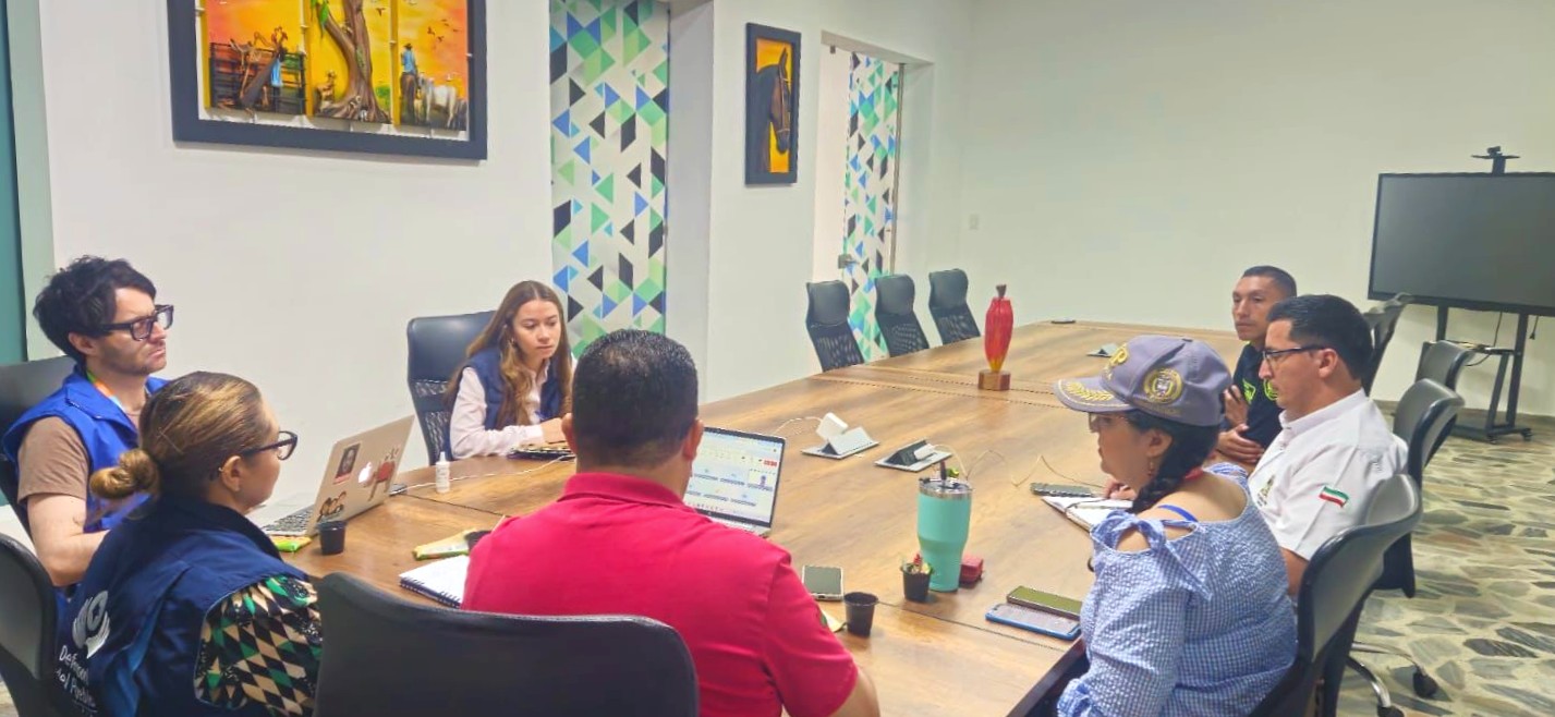 Reunión de trabajo interinstitucional sobre derechos humanos.