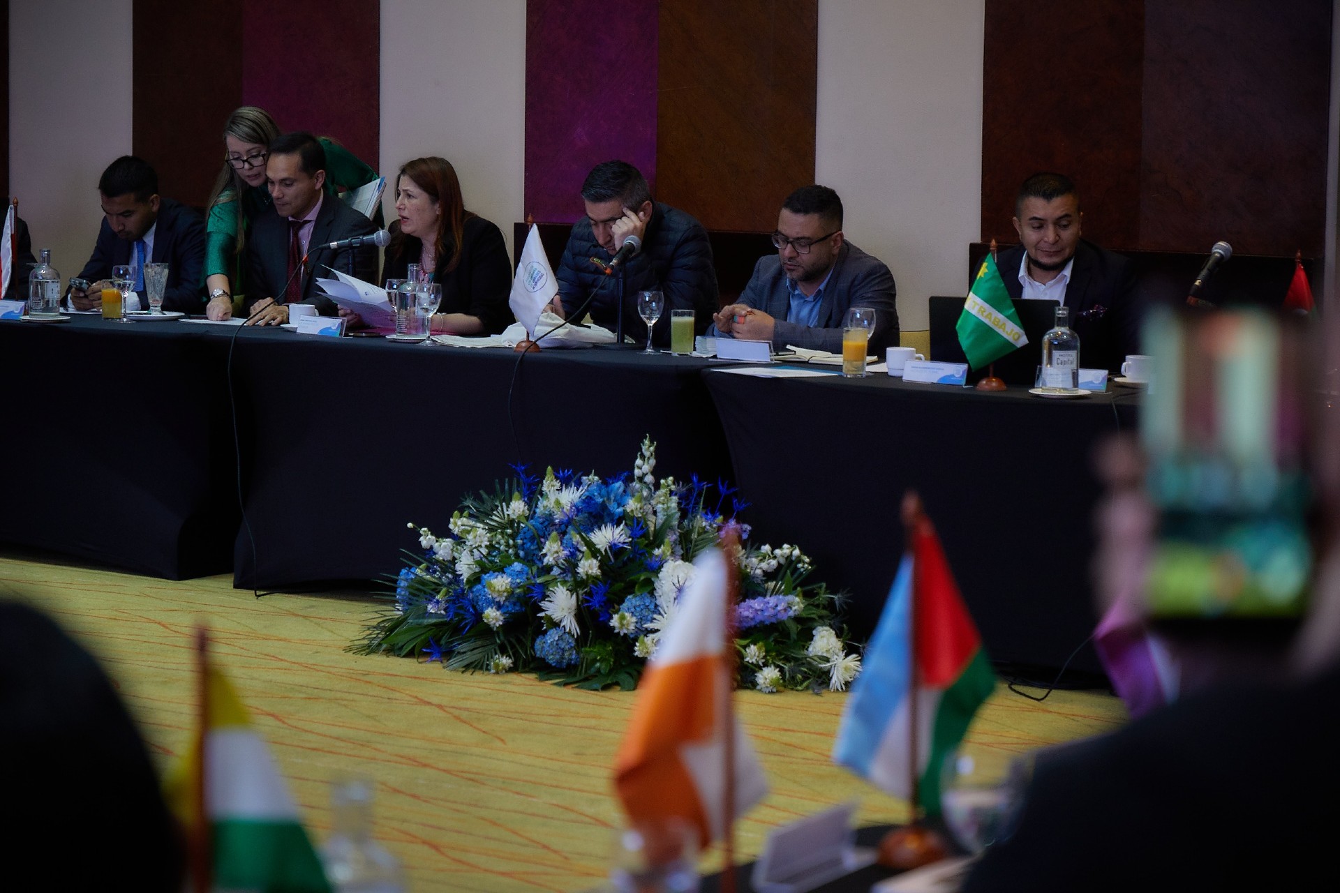 iris en asointermedias