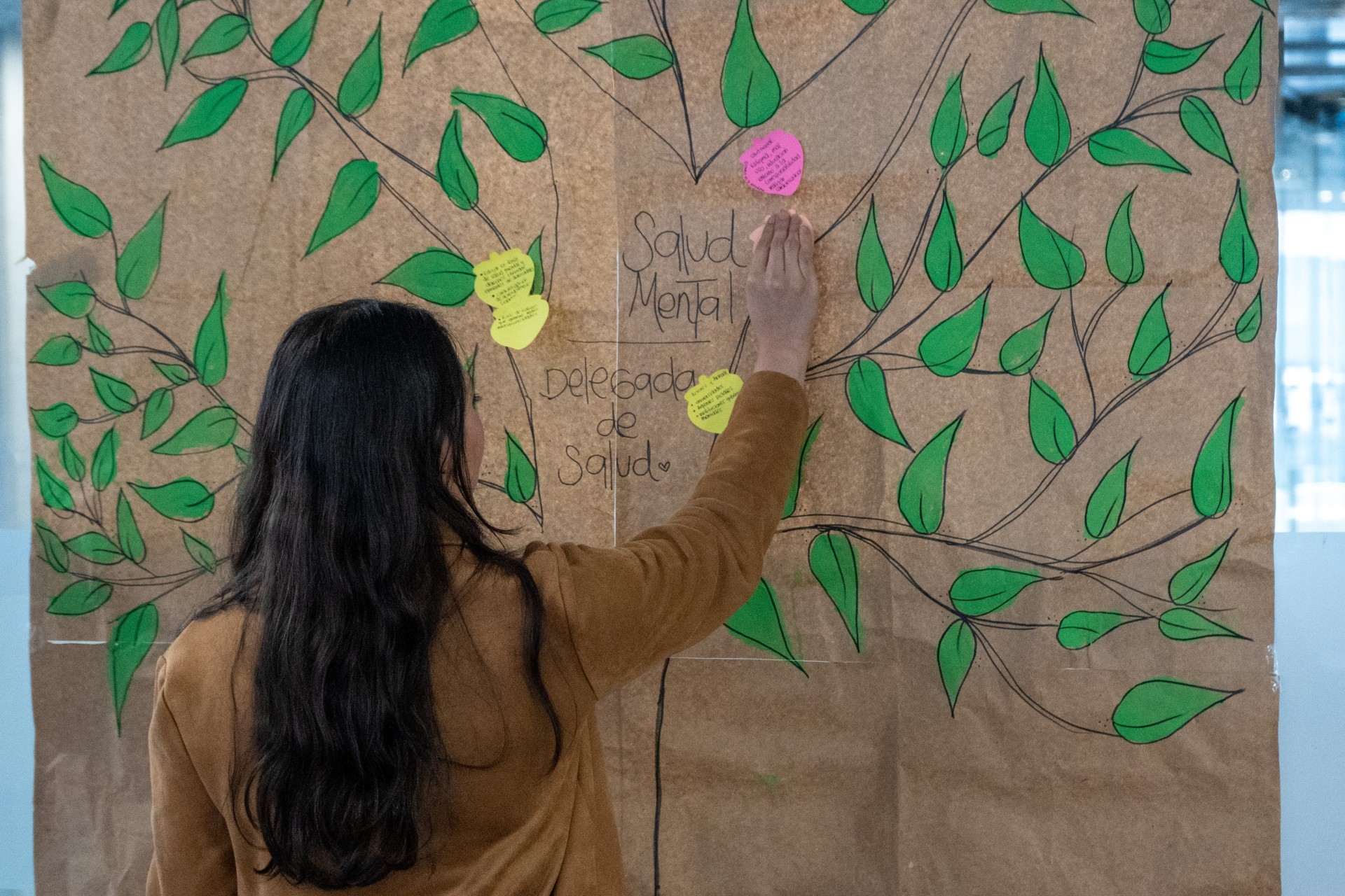 Hacia una agenda nacional de corresponsabilidad entre el Estado y la academia