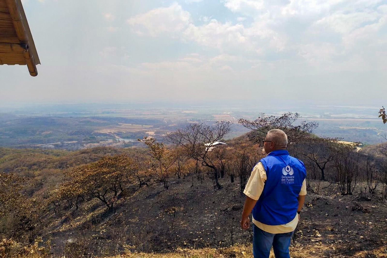 incendios forestales