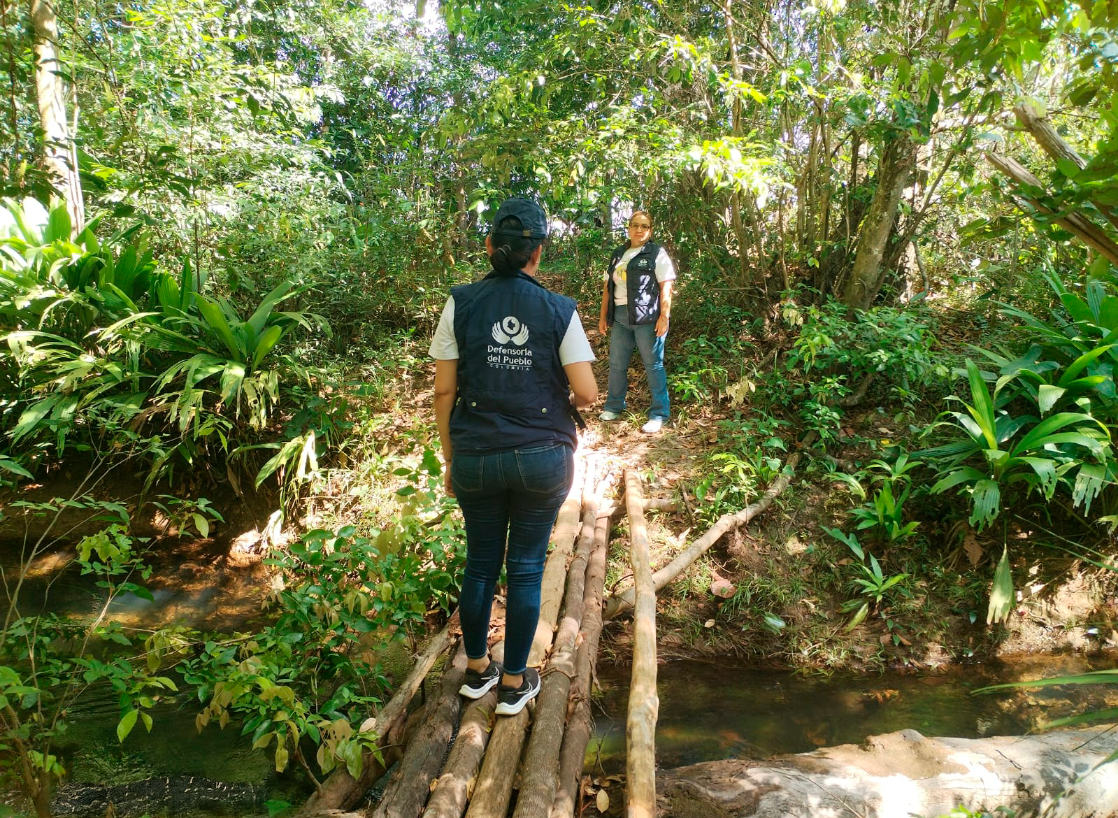 Comunidades Indígenas Vichada