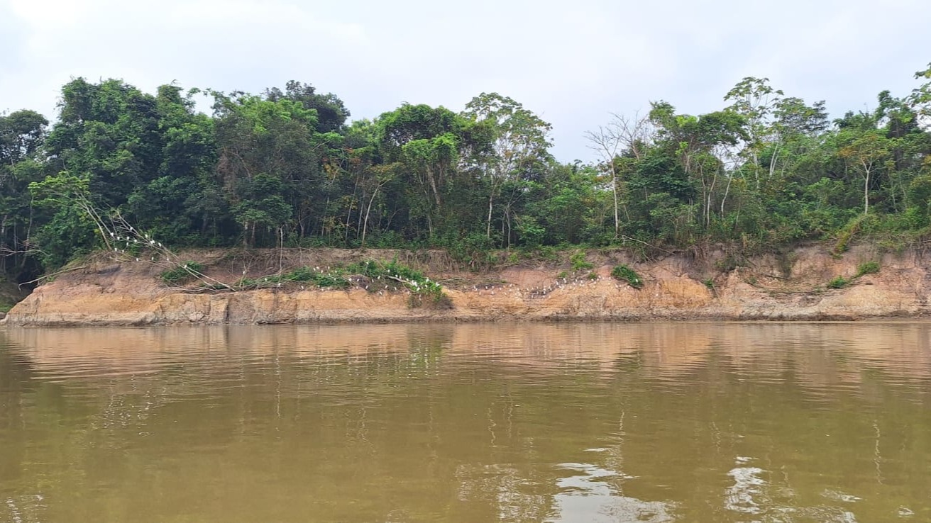 Solicitud de votación Vista Hermosa