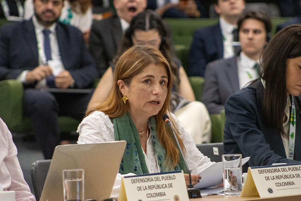 Defensora Iris Marín en la Corte IDH