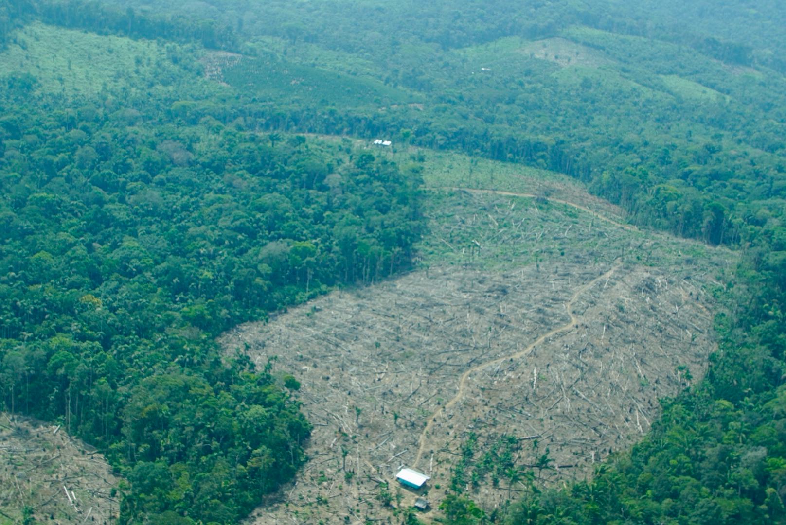 amazonía