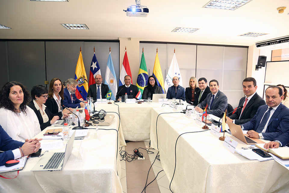 reunión mercosur