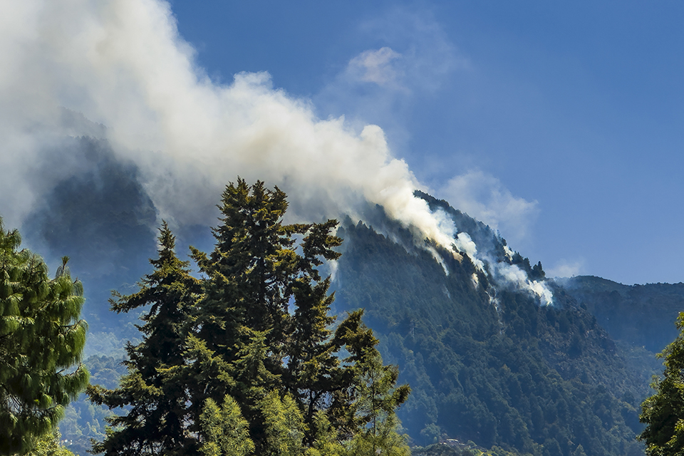 incendio forestal