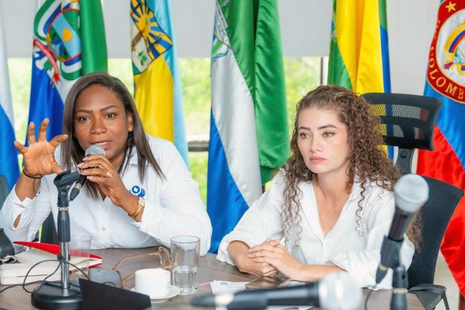 Consejo Departamental de Reincorporación en Guaviare.