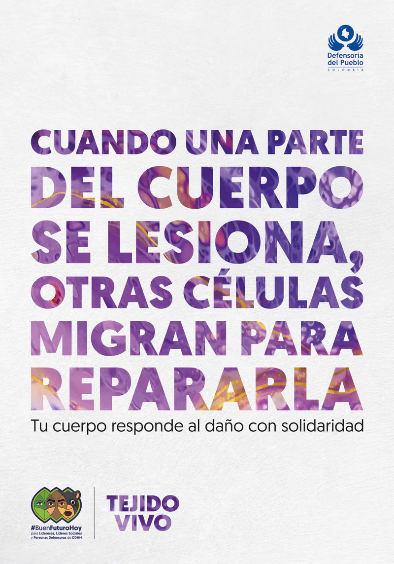 Pieza de la campaña: «Cuando una parte del cuerpo se lesiona, otras células migran para repararla. Tu cuerpo responde al daño con solidaridad».