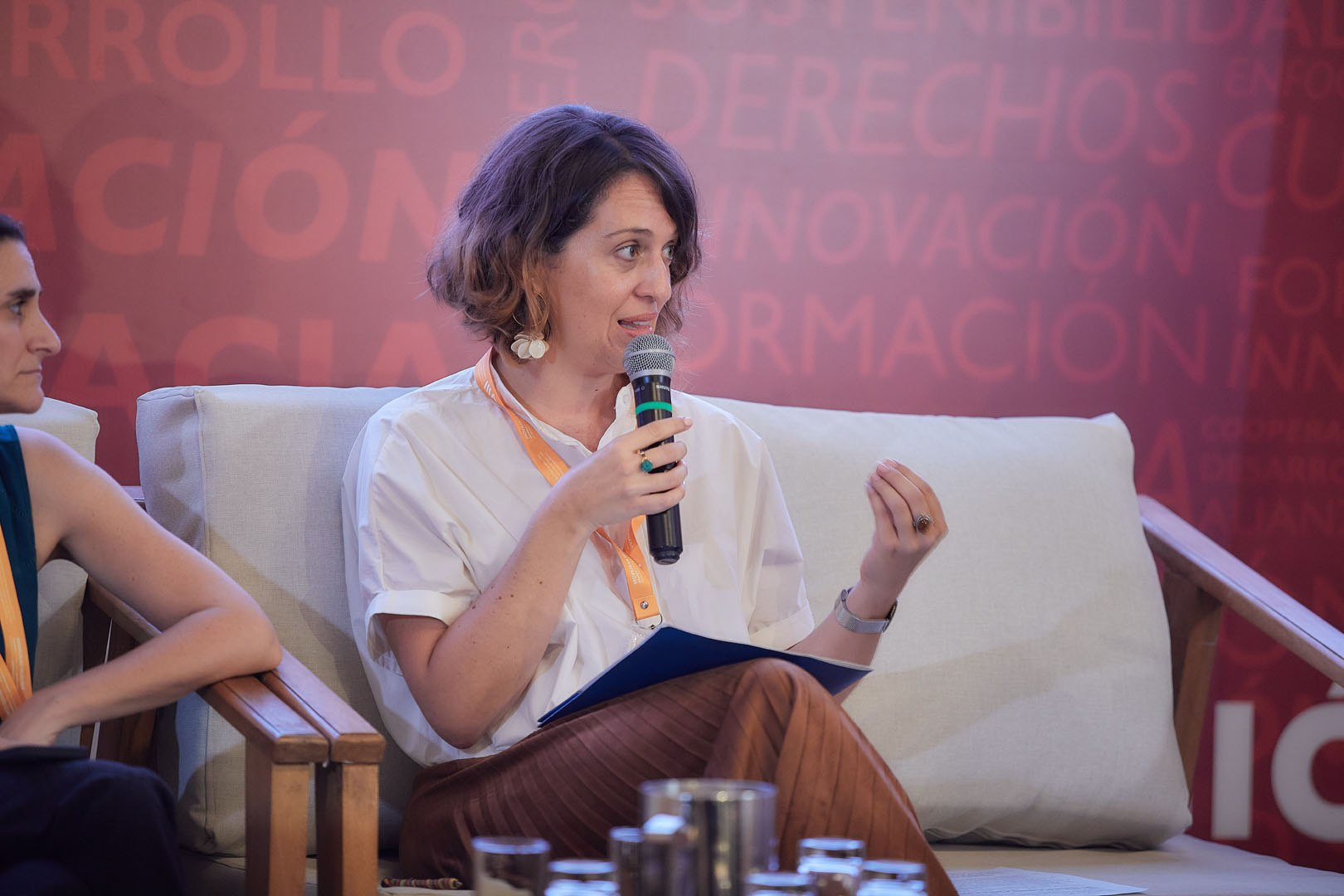 Tercer panel de la VIII Cumbre FIO-RINDHCA