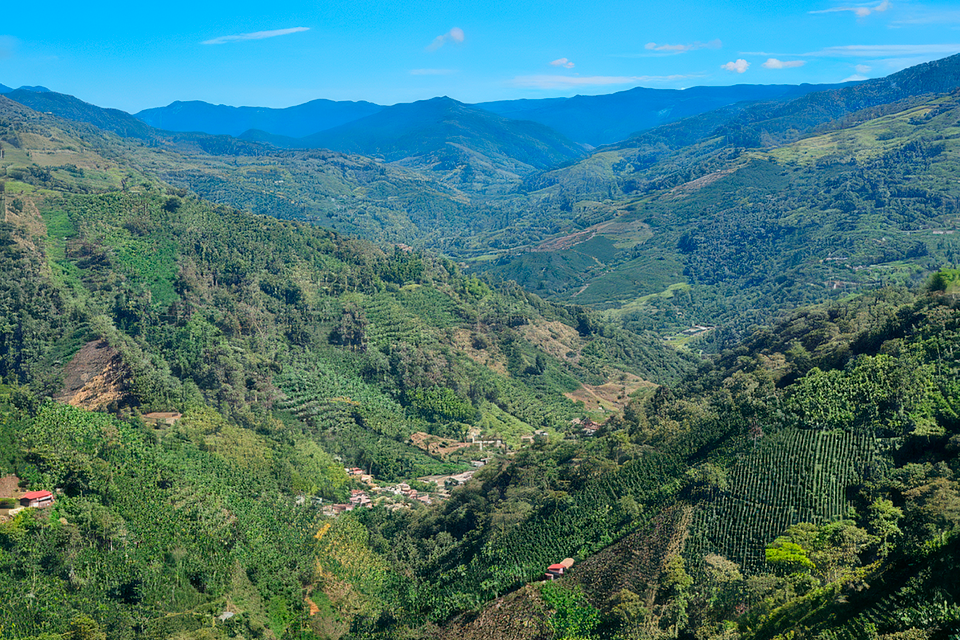 Montañas de Risaralda.