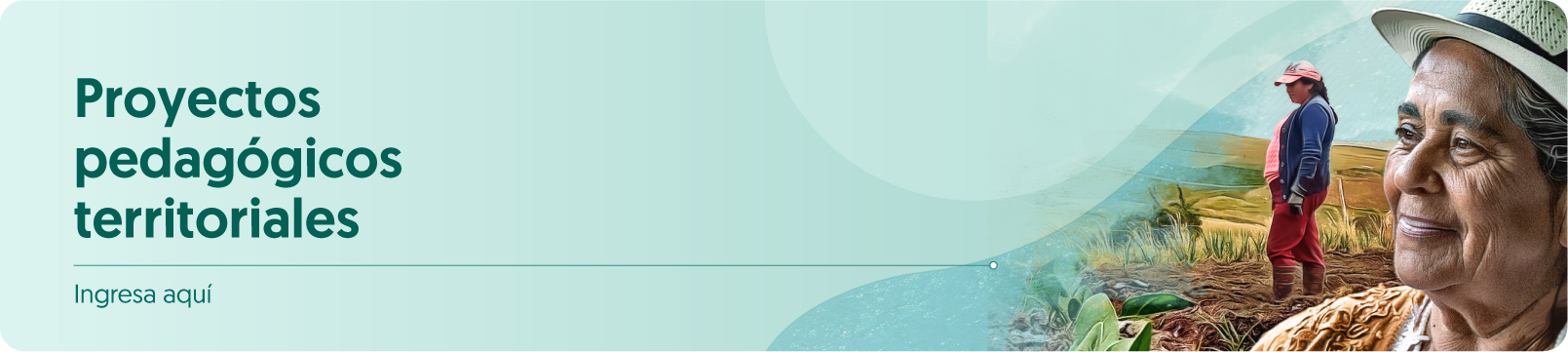 Proyectos - Próximamente