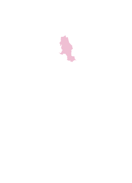 Mapa de Colombia - Norte de Santander