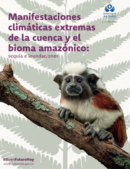 Manifestaciones Climaticas