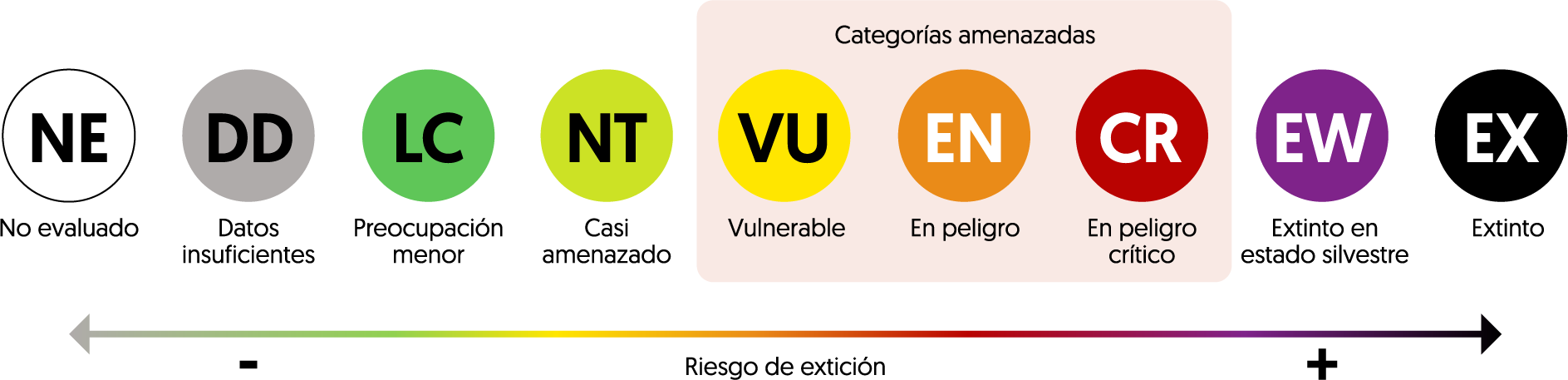 Escala de categorias UICN: No evaluado, Datos insuficientes, Preocupacion menor, Casi amenazada, Vulnerable, En peligro, En peligro critico, Extinto en estado silvestre y Extinto; el riesgo de extincion aumenta de izquierda a derecha
