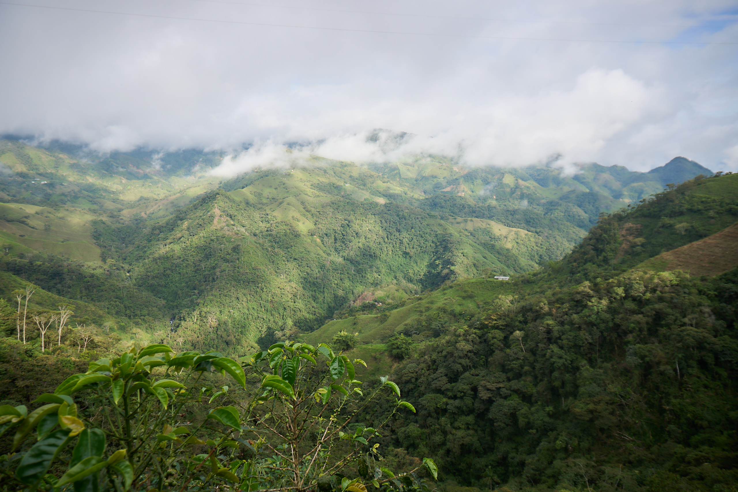 Paisaje montañoso de El Congal