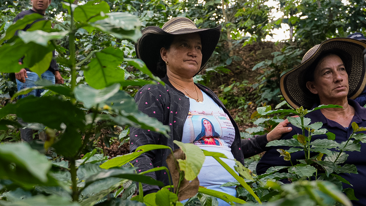 Miriam Rojas, caficultora